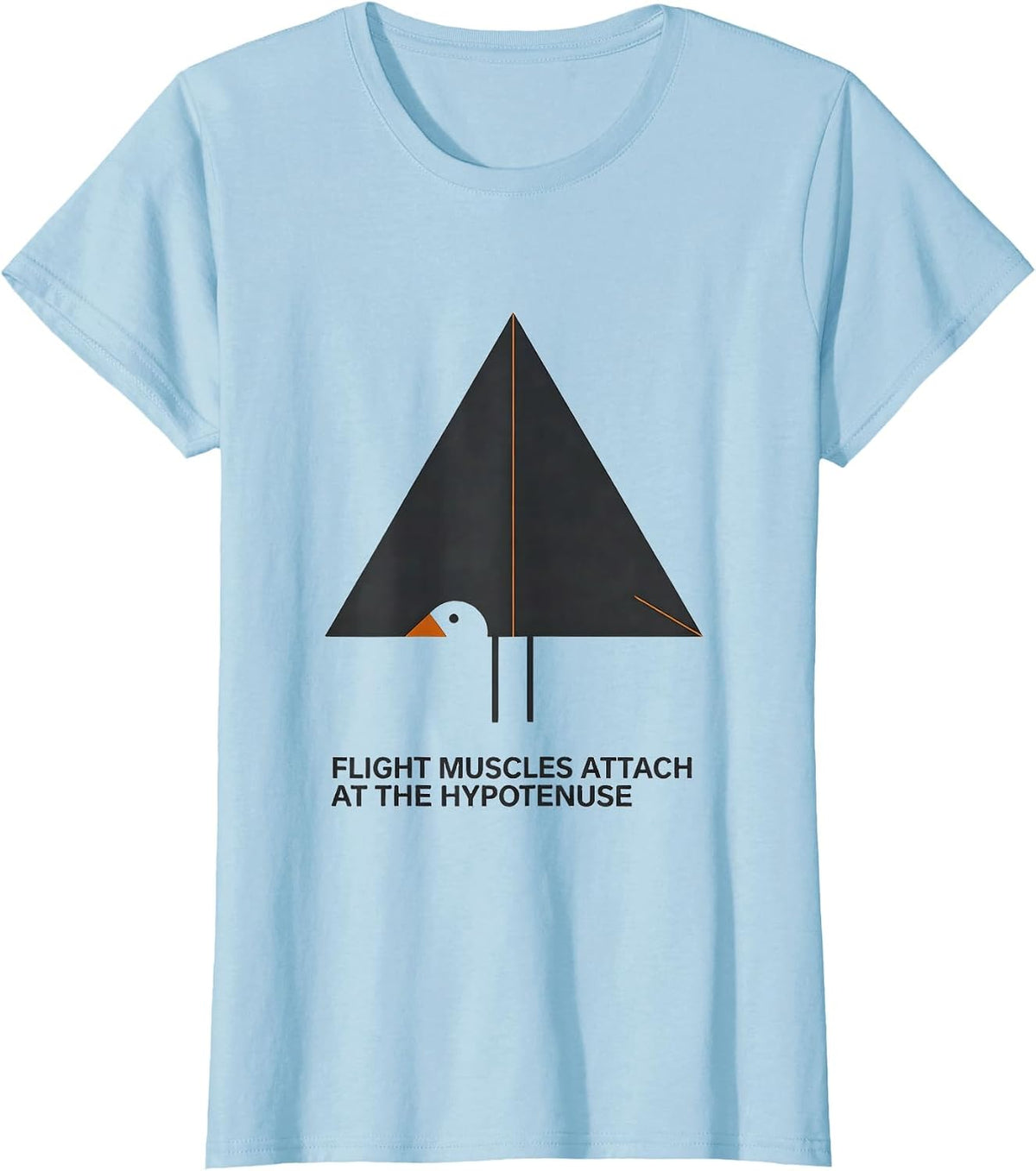 Flight Muscles Attach At The Hypotenuse Math Teacher T-Shirt - Baby Blue