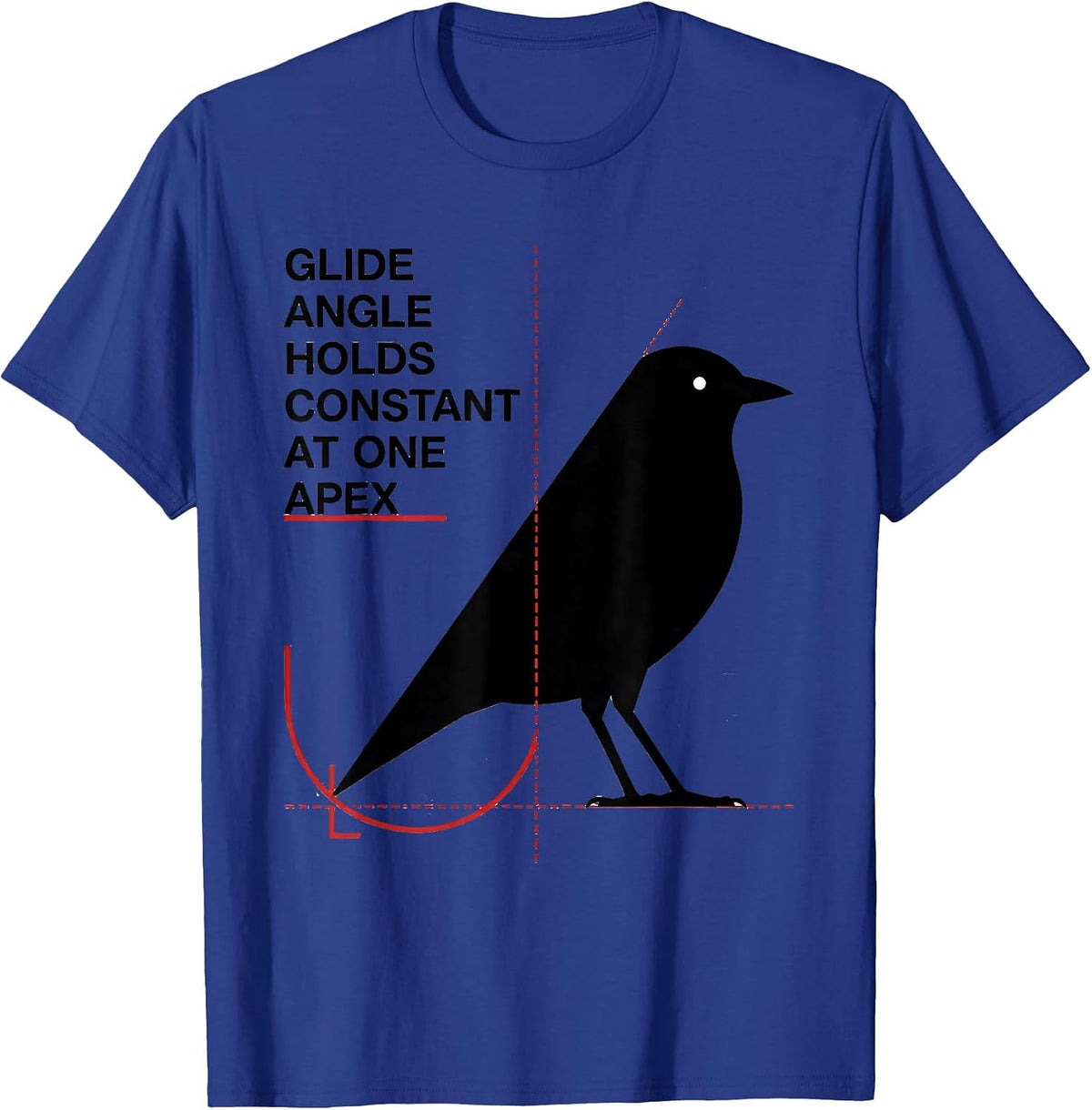 Glide Angle Holds Constant At One Apex Funny Math Teacher T-Shirt - Royal Blue