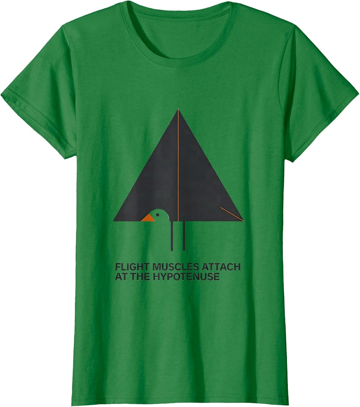 Flight Muscles Attach At The Hypotenuse Math Teacher T-Shirt - Kelly Green