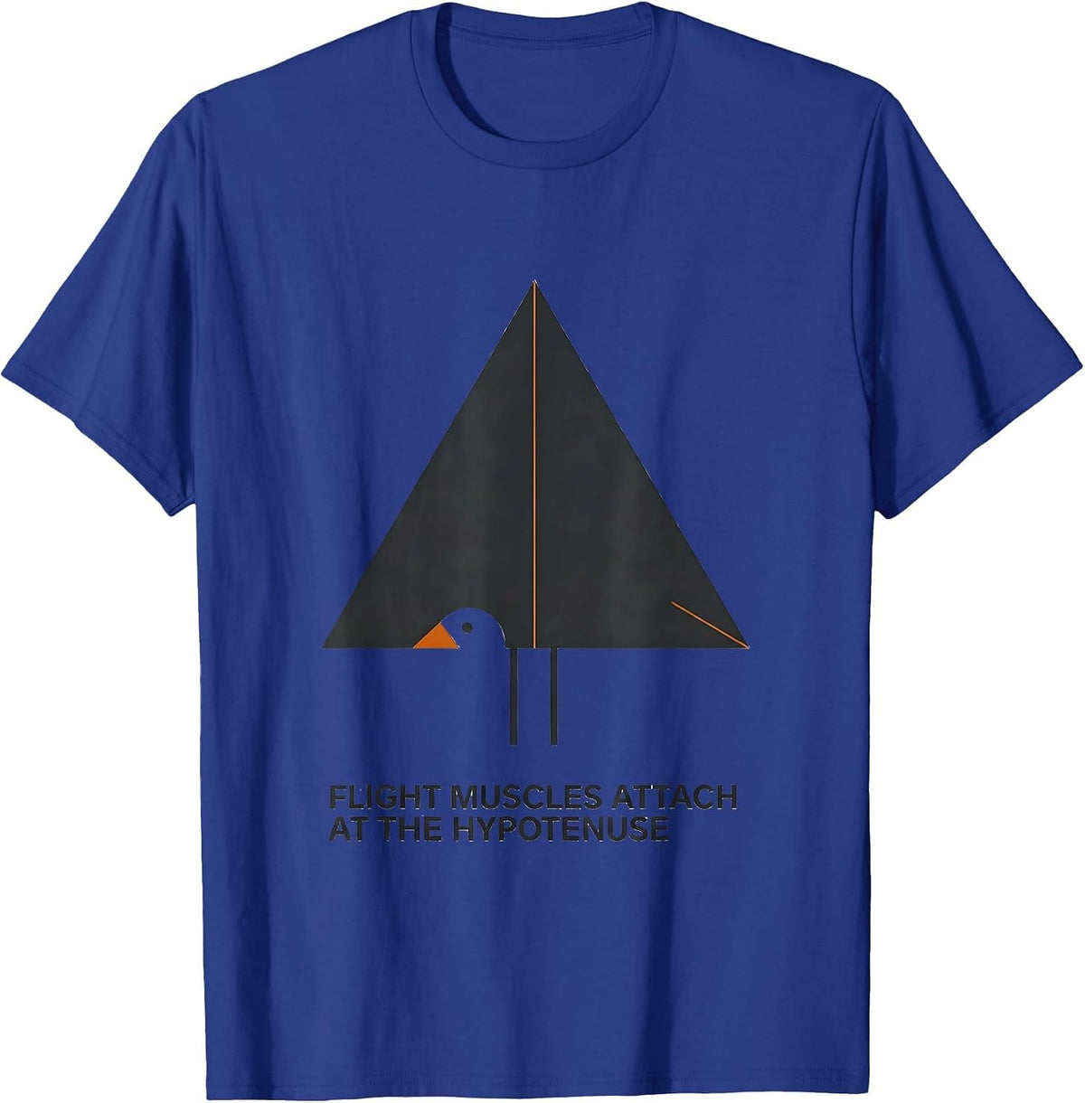 Flight Muscles Attach At The Hypotenuse Math Teacher T-Shirt - Royal Blue