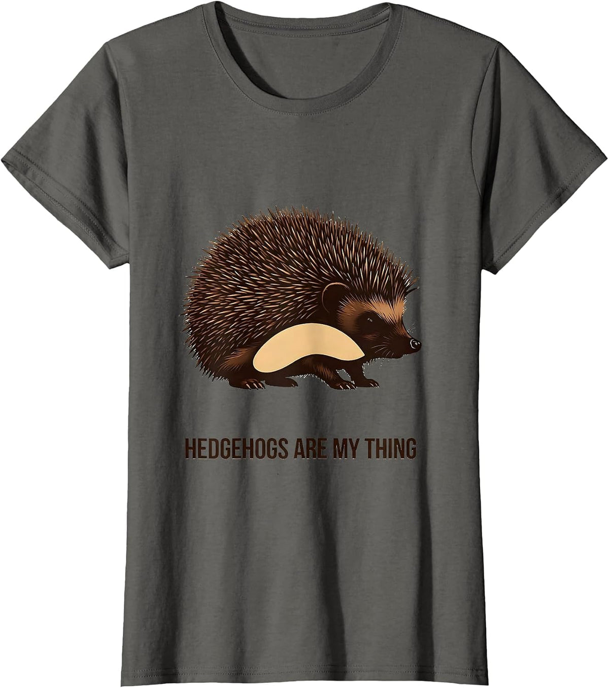 Women's Hedgehogs Are My Thing Whimsical Hedgehog Lover Gift T-Shirt - Asphalt Grey
