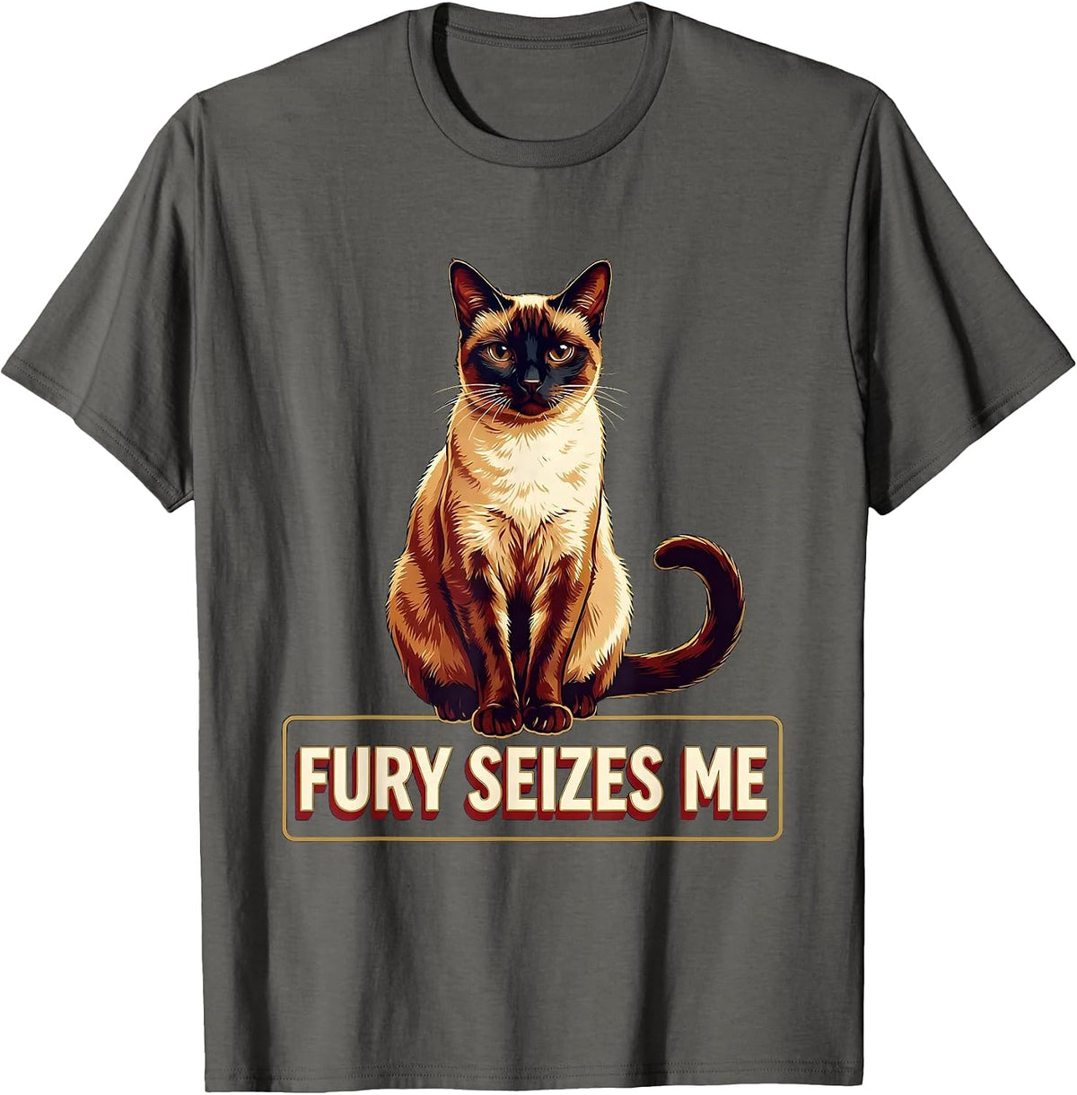 Men's Fury Seizes Me Funny Siamese Cat Meme Sarcastic T-Shirt - Asphalt Grey
