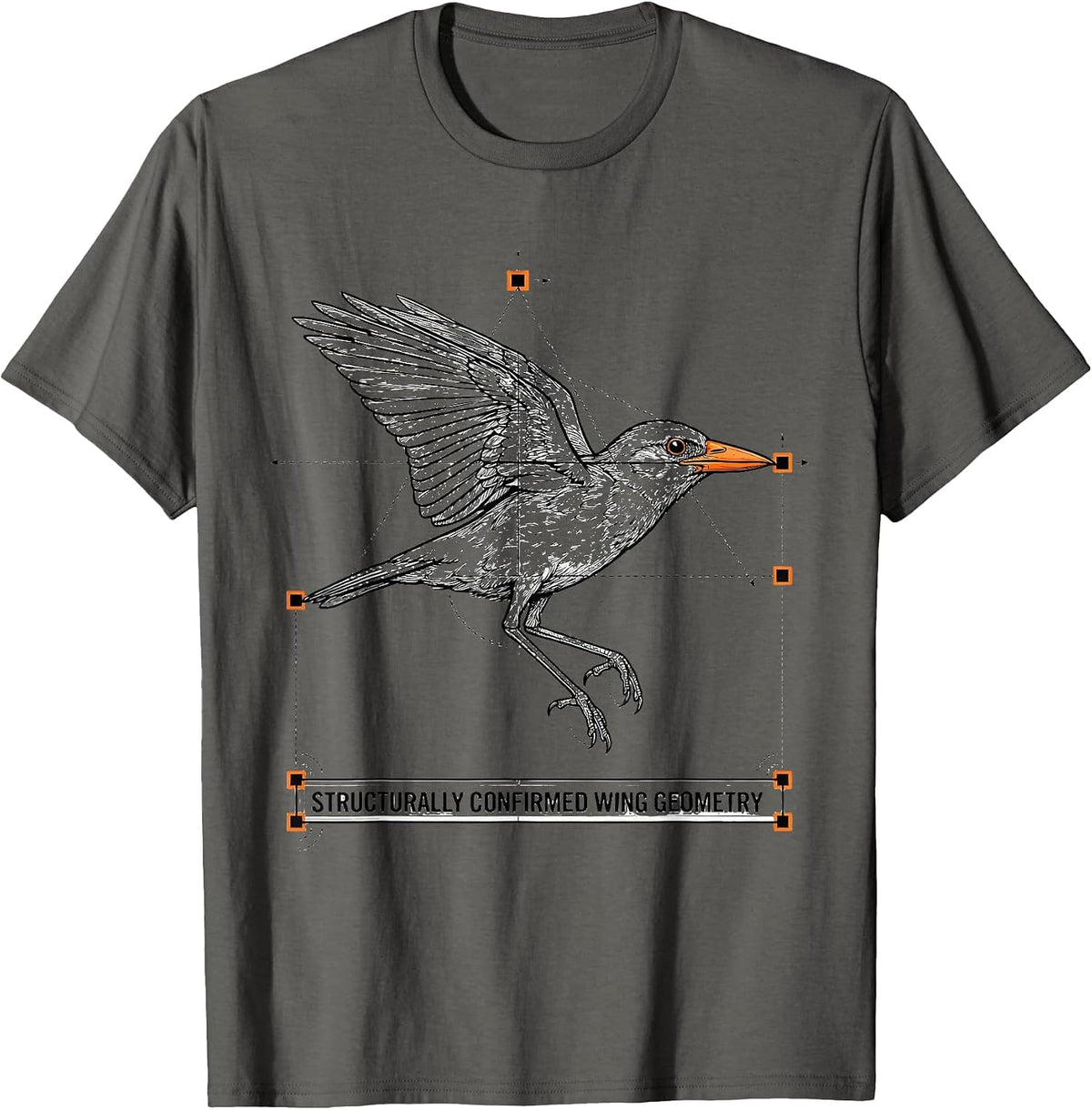 Structurally Confirmed Wing Geometry Funny Math Teacher Bird T-Shirt - Asphalt Grey