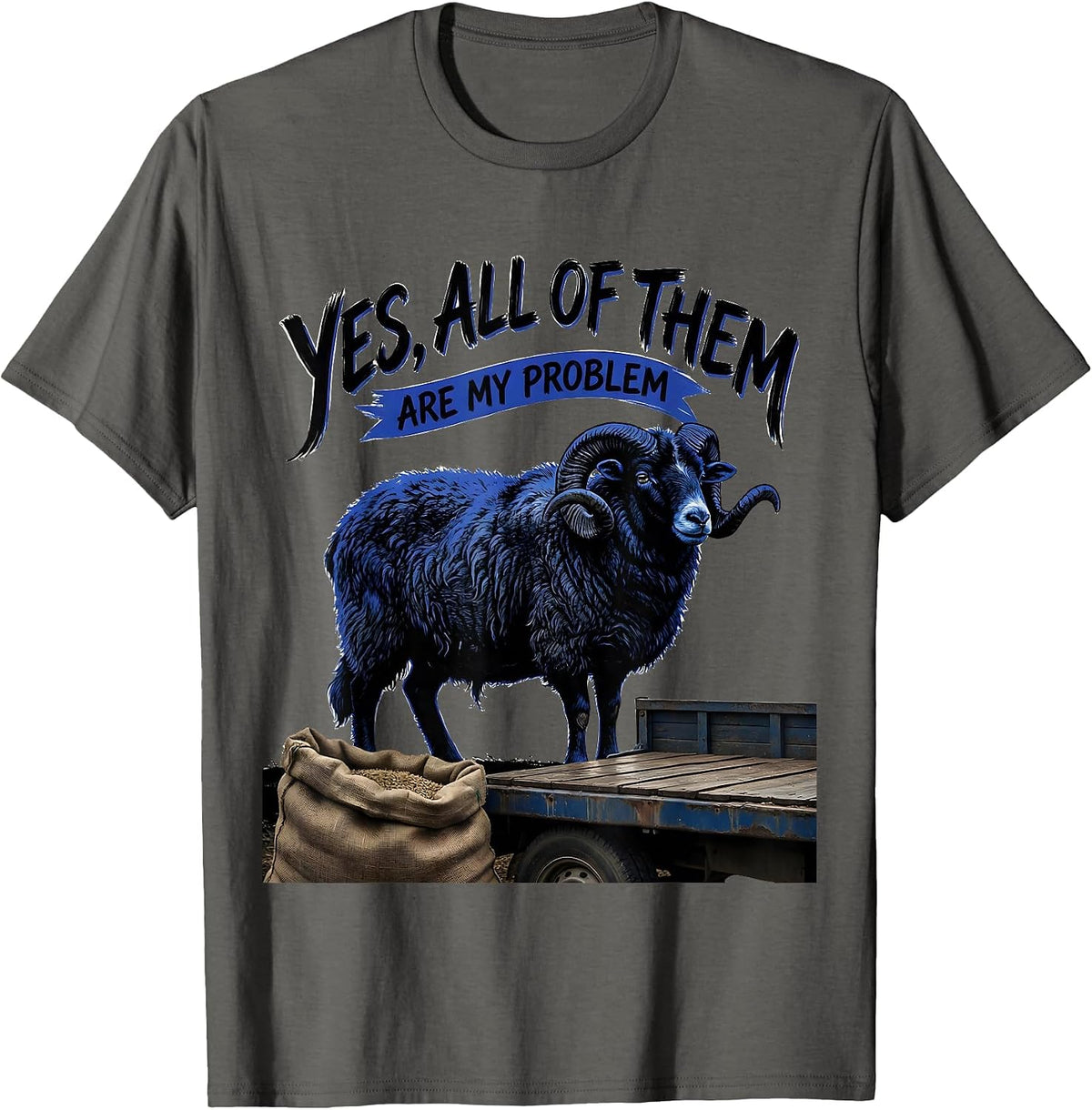 Yes, All Of Them Are My Problem Funny Goat Owner Farm Animal T-Shirt - Asphalt Grey