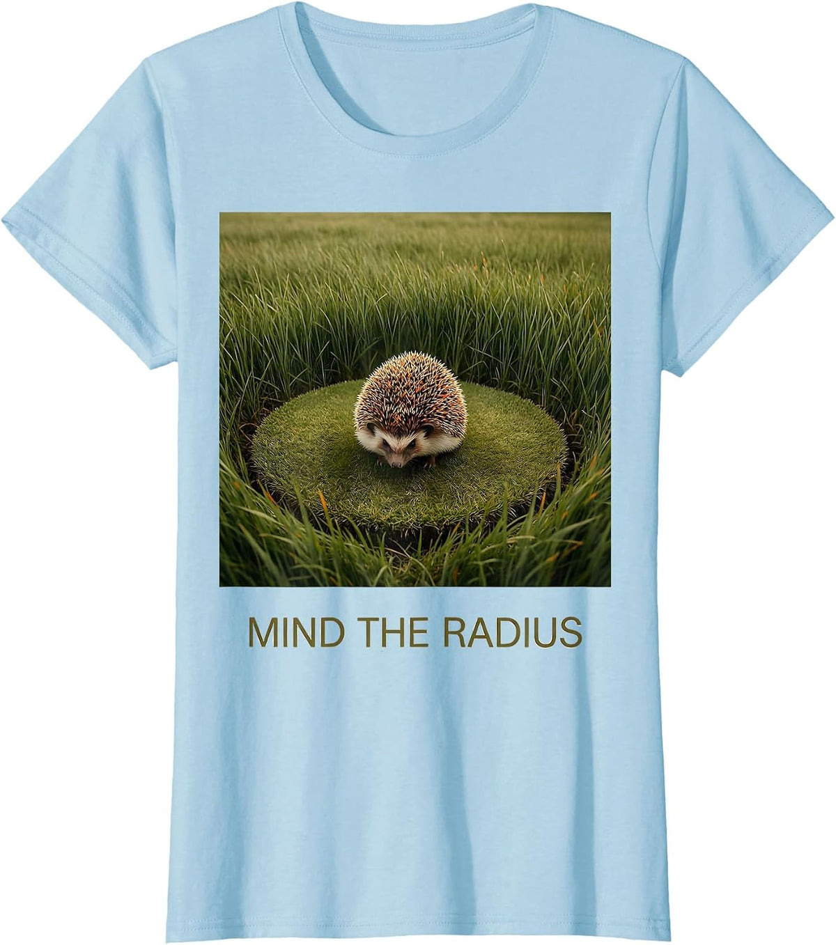 Mind The Radius Cute Hedgehog Animal Lover Humor T-Shirt - Baby Blue