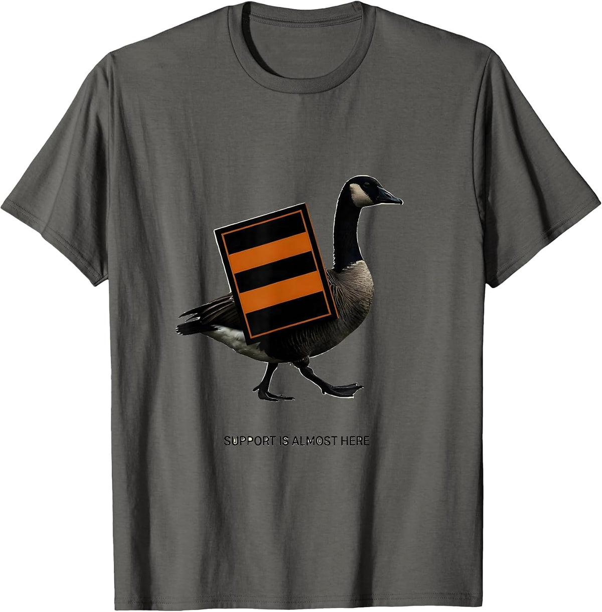 Support Is Almost Here Silly Goose Special Education Teacher T-Shirt - Asphalt Grey
