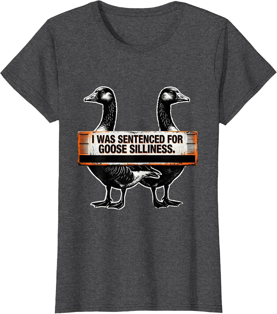 Women's I Was Sentenced For Goose Silliness Brutalist Graphic Funny T-Shirt - Dark Heather Grey