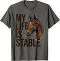 My Life Is Stable Funny Horse Lover Equestrian Gift T-Shirt - Asphalt Grey