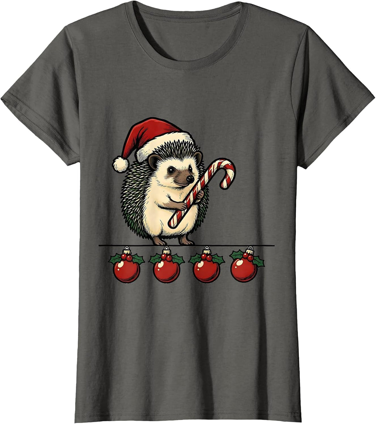Women's Cheerful Hedgehog Holiday Pajama Family Matching Fun T-Shirt - Asphalt Grey