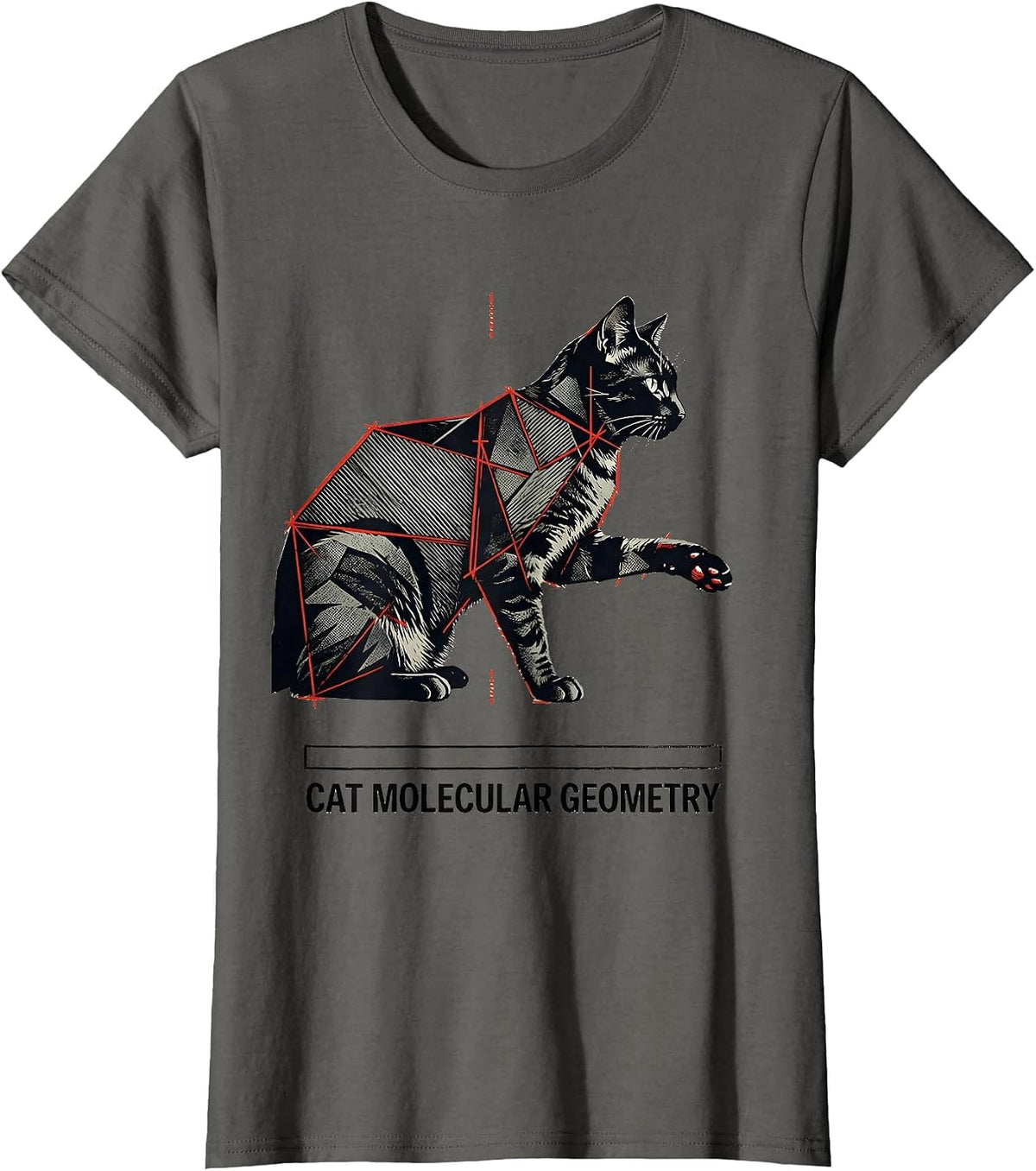 Women's Cat Molecular Geometry Funny Cat Science Math Teacher Gift T-Shirt - Asphalt Grey