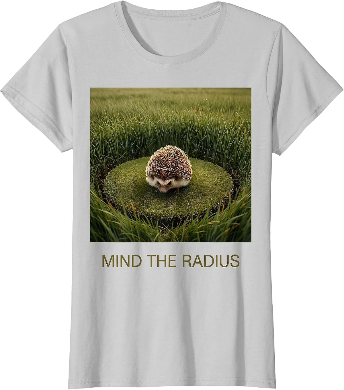 Mind The Radius Cute Hedgehog Animal Lover Humor T-Shirt - Silver Grey