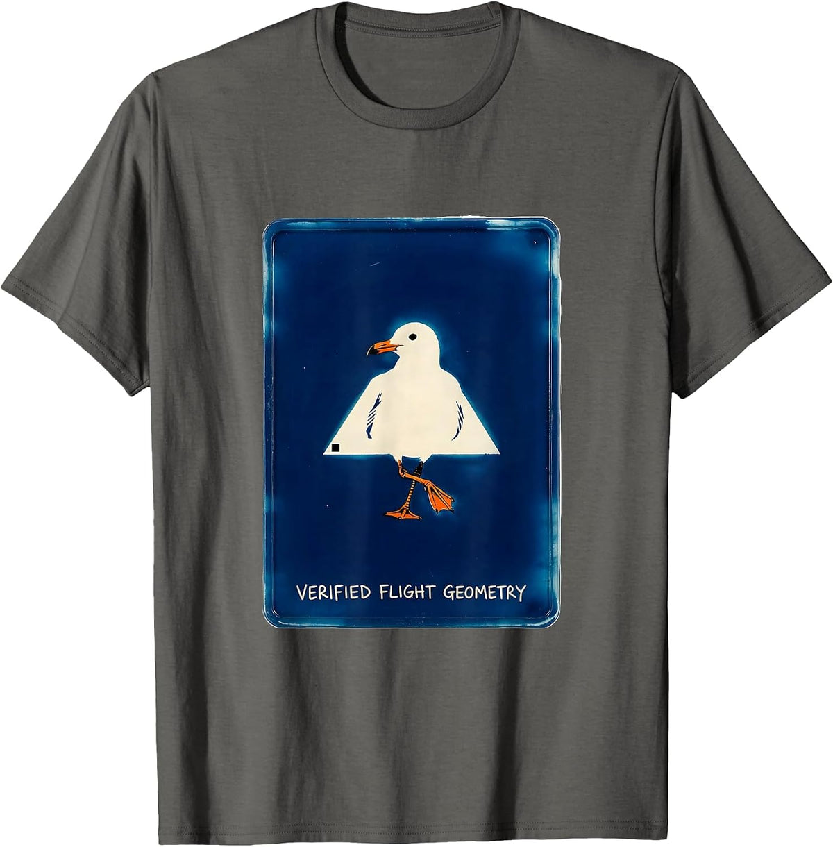Verified Flight Geometry Funny Bird Pun Geometric Wordplay T-Shirt - Asphalt Grey