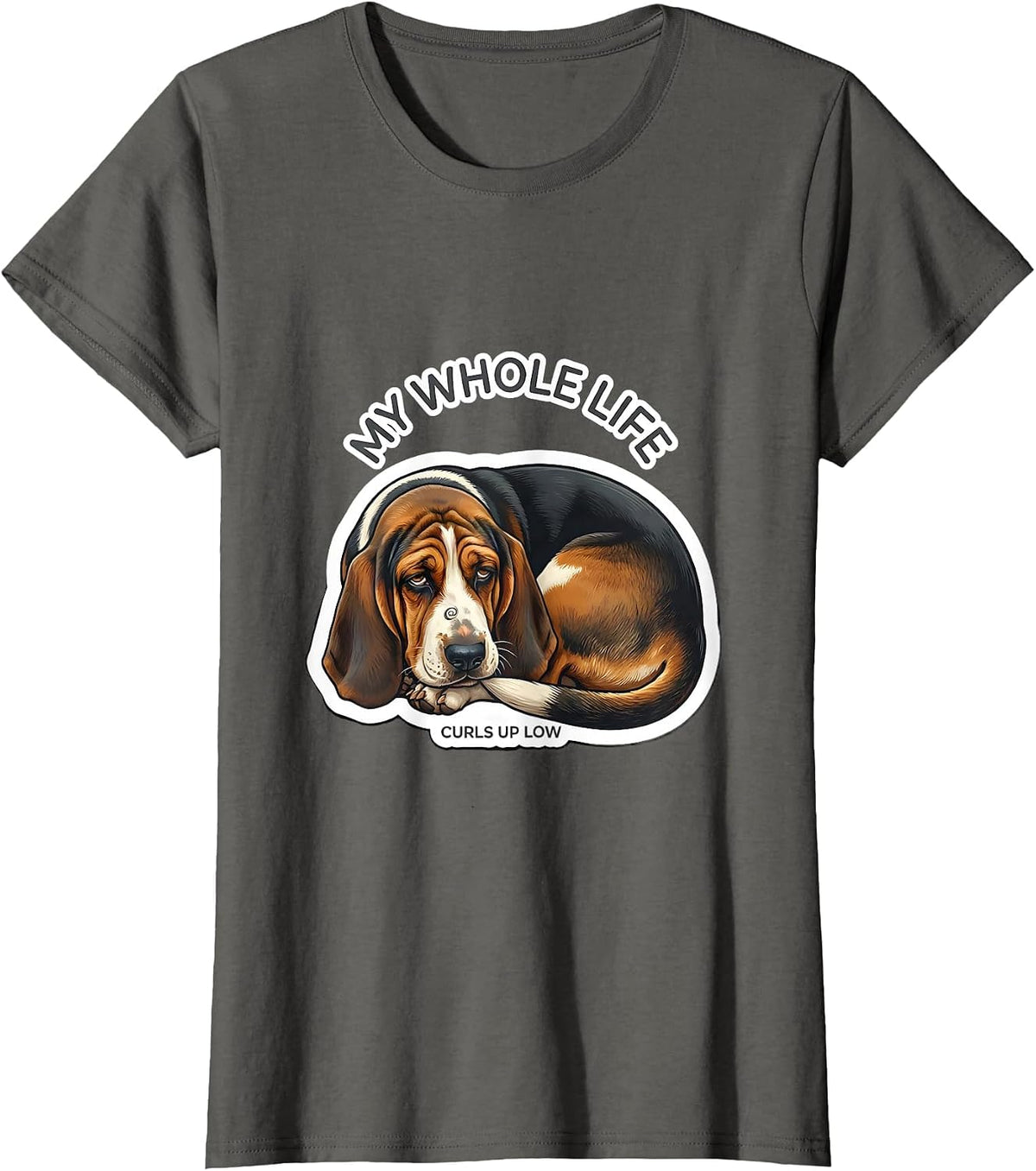 Women's My Whole Life Curls Up Low Funny Basset Hound Dog Lover Gift T-Shirt - Asphalt Grey