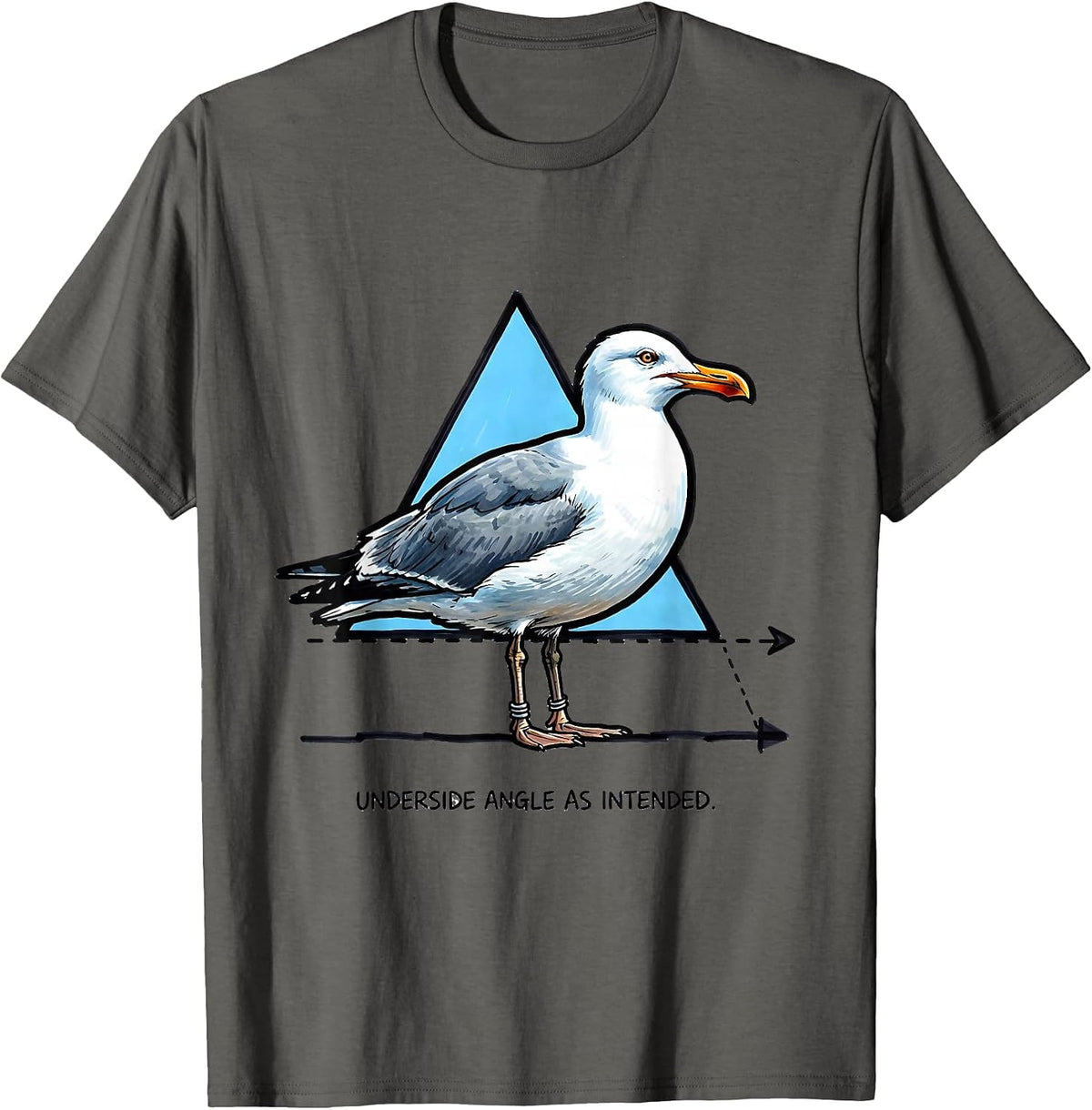 Underside Angle As Intended Funny Bird Pun Math Teacher T-Shirt - Asphalt Grey