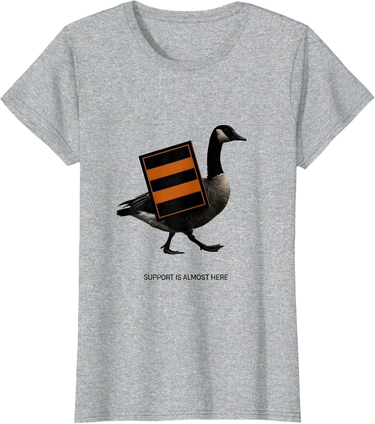 Support Is Almost Here Silly Goose Special Education Teacher T-Shirt - Heather Grey