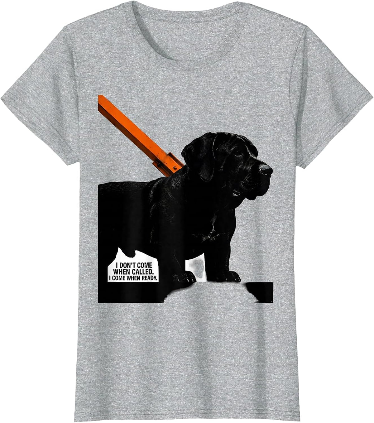 Women's I Don't Come When Called I Come When Ready Funny Basset T-Shirt - Heather Grey
