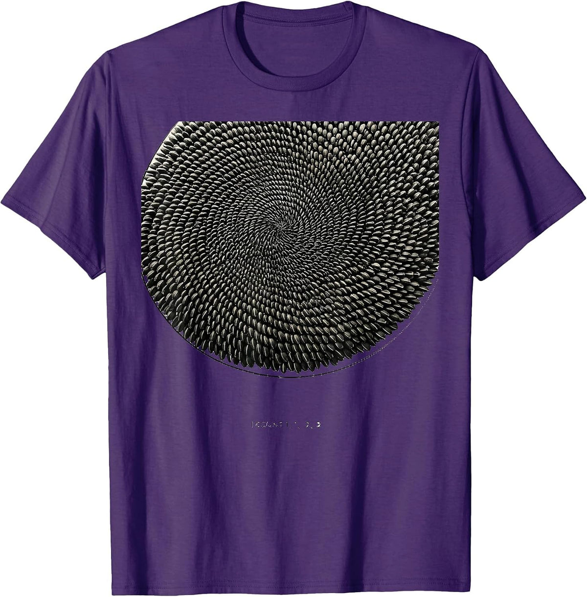 I Count 1, 1, 2, 3 Minimalist Math Lover Sacred Geometry T-Shirt - Purple