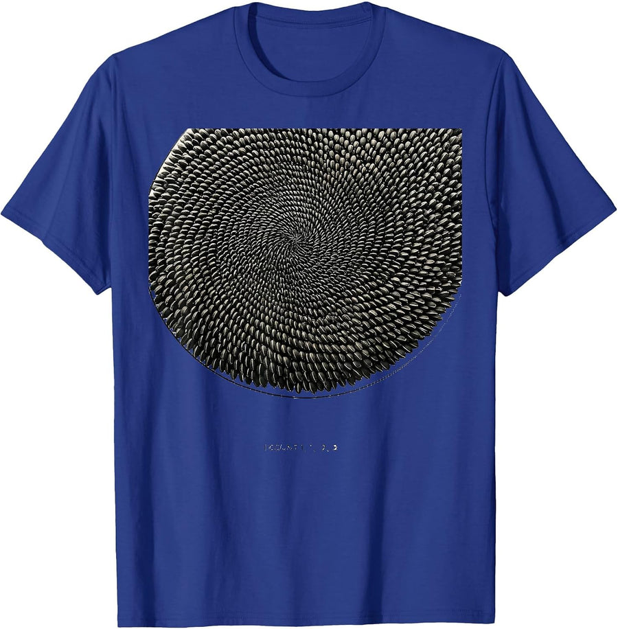 I Count 1, 1, 2, 3 Minimalist Math Lover Sacred Geometry T-Shirt - Royal Blue