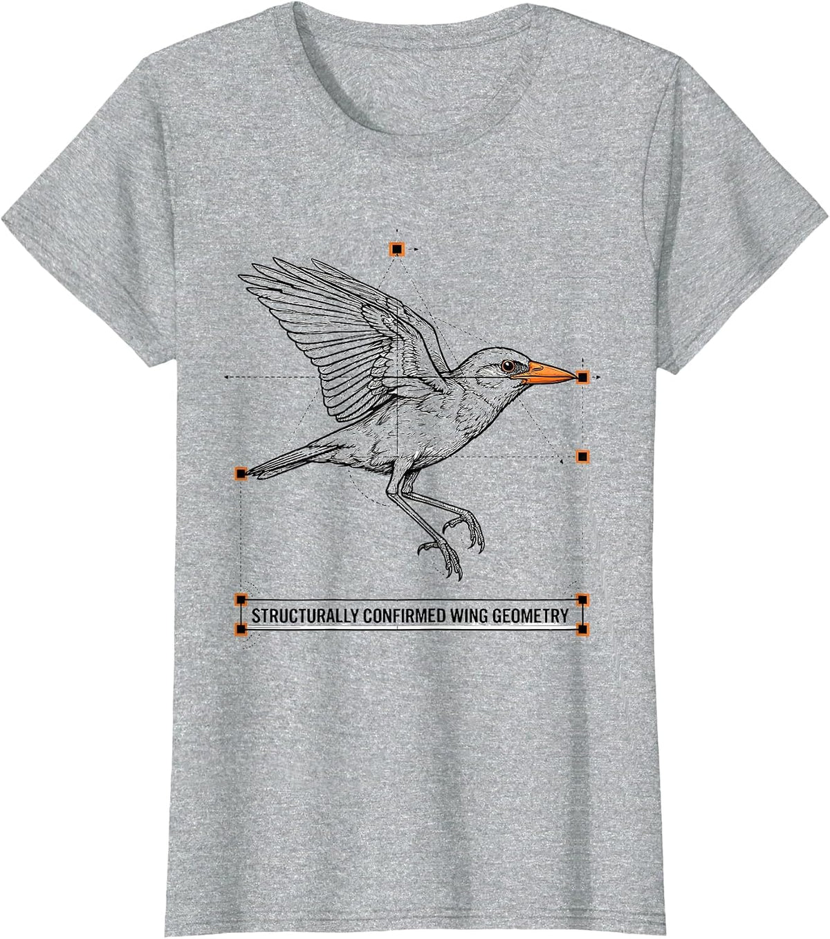 Structurally Confirmed Wing Geometry Funny Math Teacher Bird T-Shirt - Heather Grey