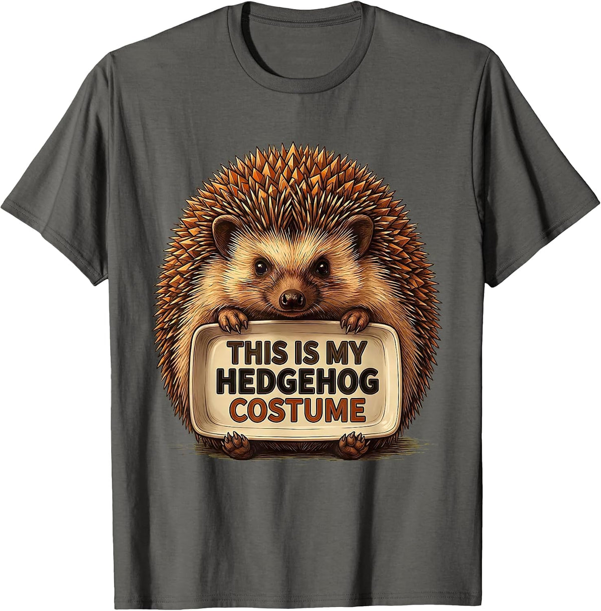 This Is My Hedgehog Costume Funny Halloween Lazy Costume T-Shirt - Asphalt Grey