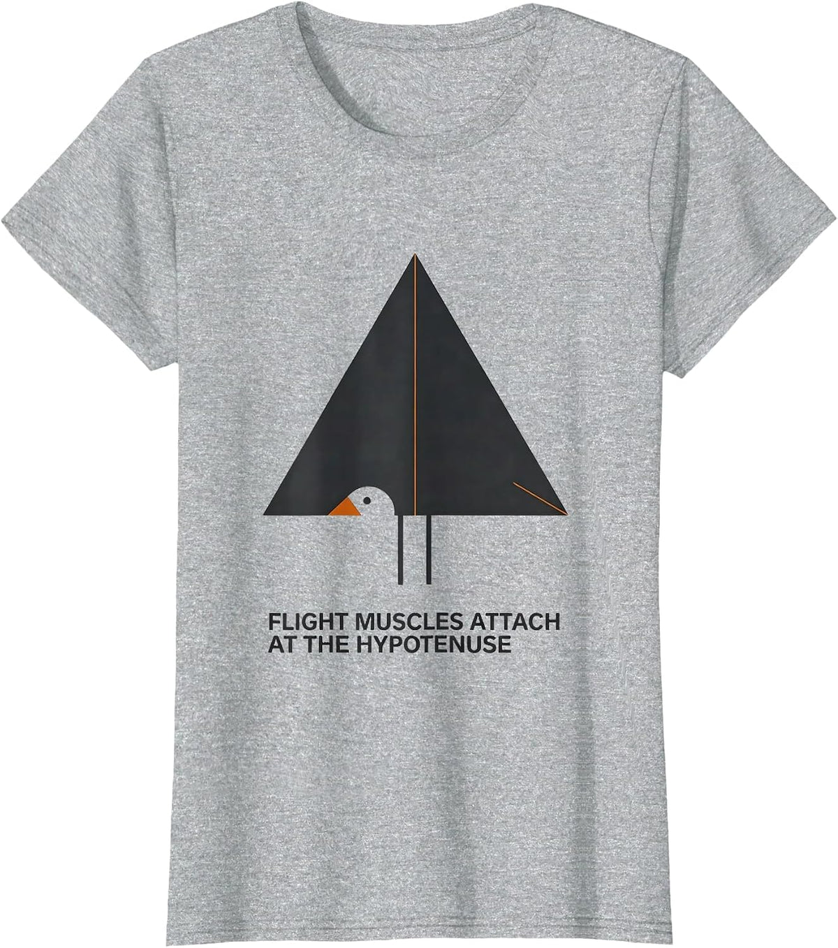 Flight Muscles Attach At The Hypotenuse Math Teacher T-Shirt - Heather Grey