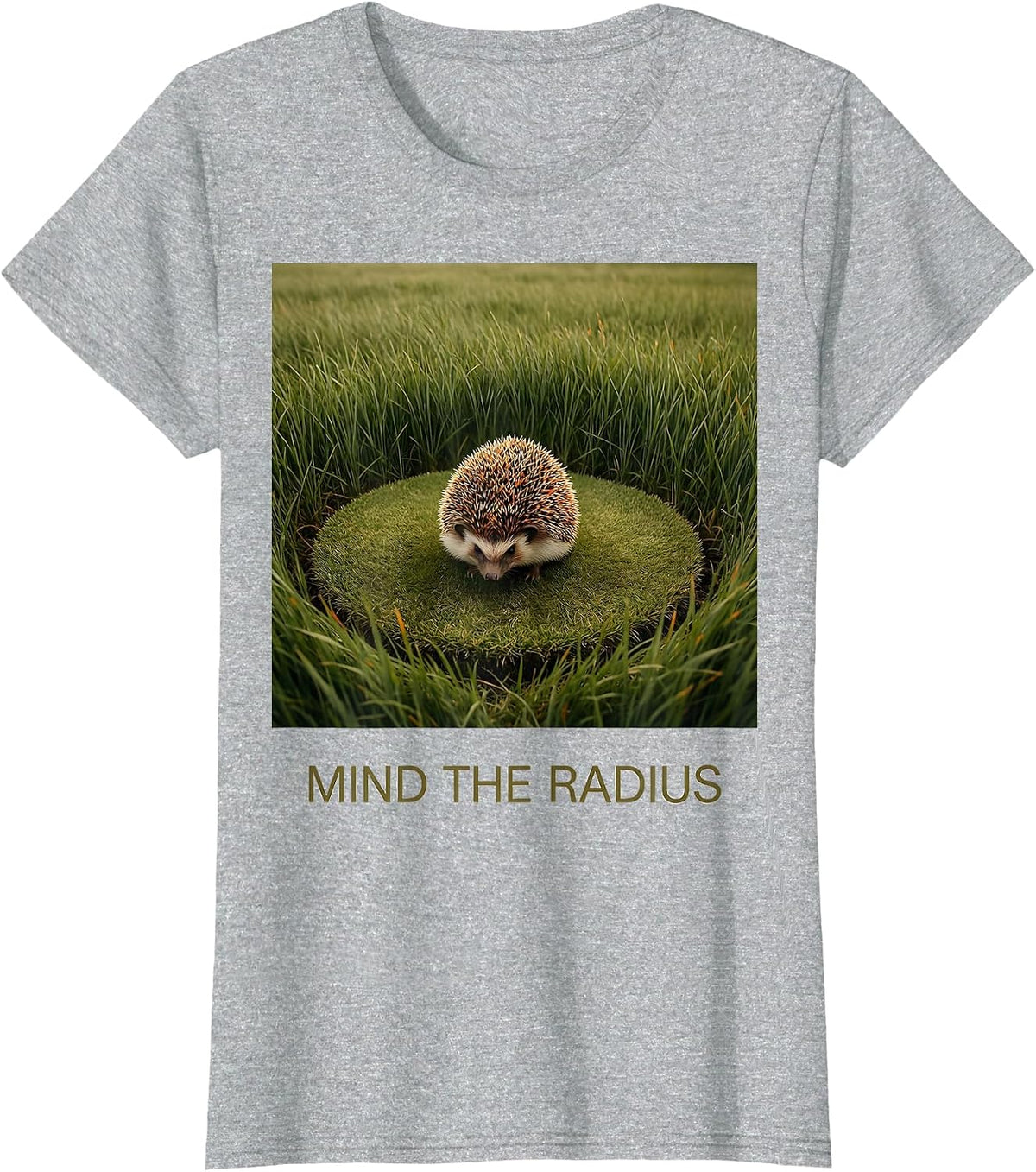 Mind The Radius Cute Hedgehog Animal Lover Humor T-Shirt - Heather Grey