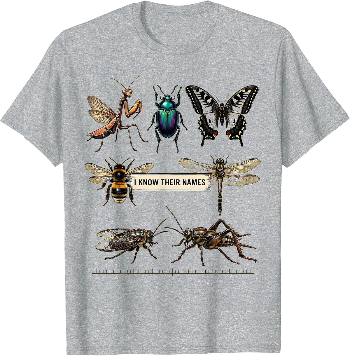 Men's I Know Their Names Entomology Bug Collector Insect Lover T-Shirt - Heather Grey