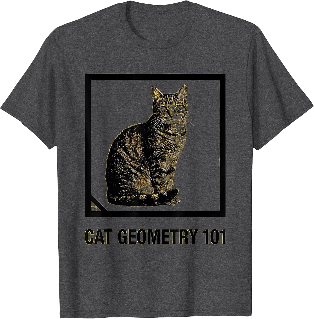 Cat Geometry 101 Funny Math Cat Teacher Student Lover T-Shirt - Dark Heather Grey