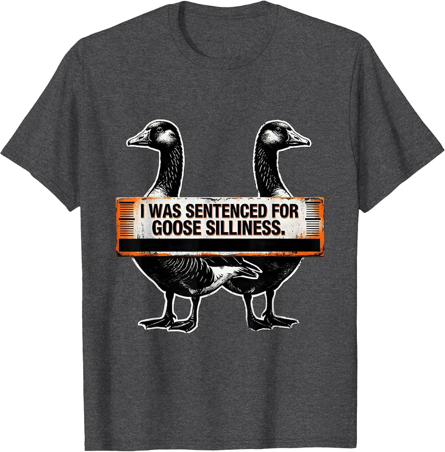Men's I Was Sentenced For Goose Silliness Brutalist Graphic Funny T-Shirt - Dark Heather Grey
