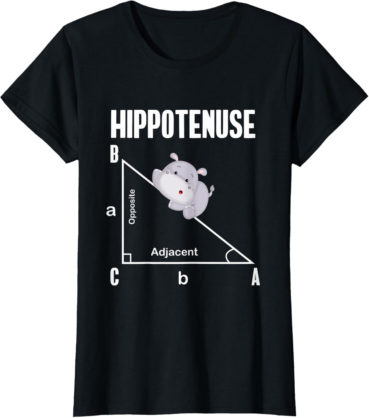 Nerd Geometry Hippotenuse Hypotenuse Funny T-Shirt - Black