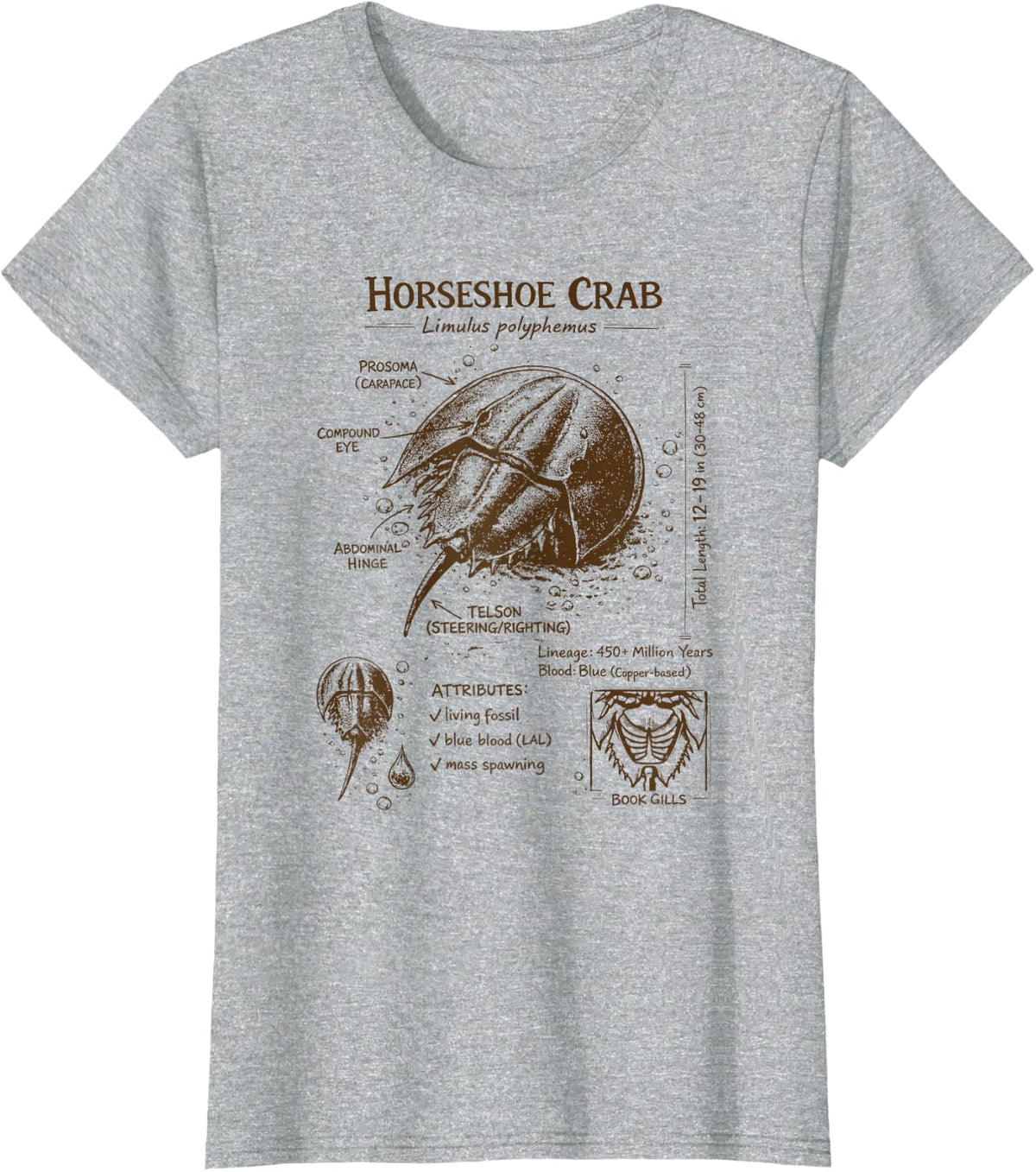 Horseshoe Crab Lover Anatomy Biologist Sea Ocean Animal T-Shirt - Heather Grey