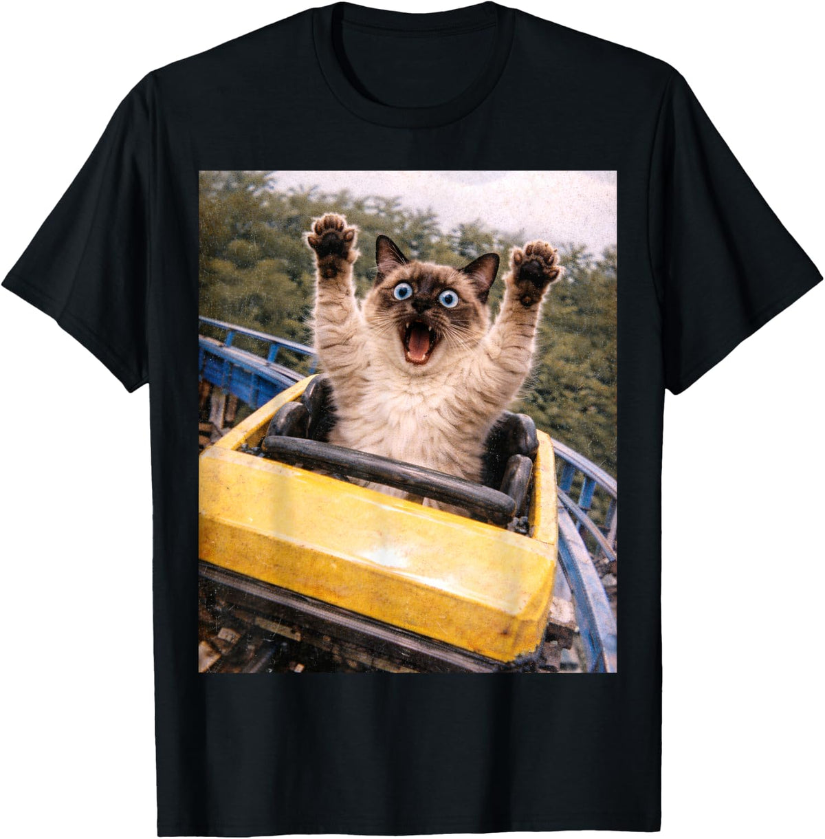 Funny Cat Roller Coaster Silly Meme Graphic Siamese Cat T-Shirt - Black