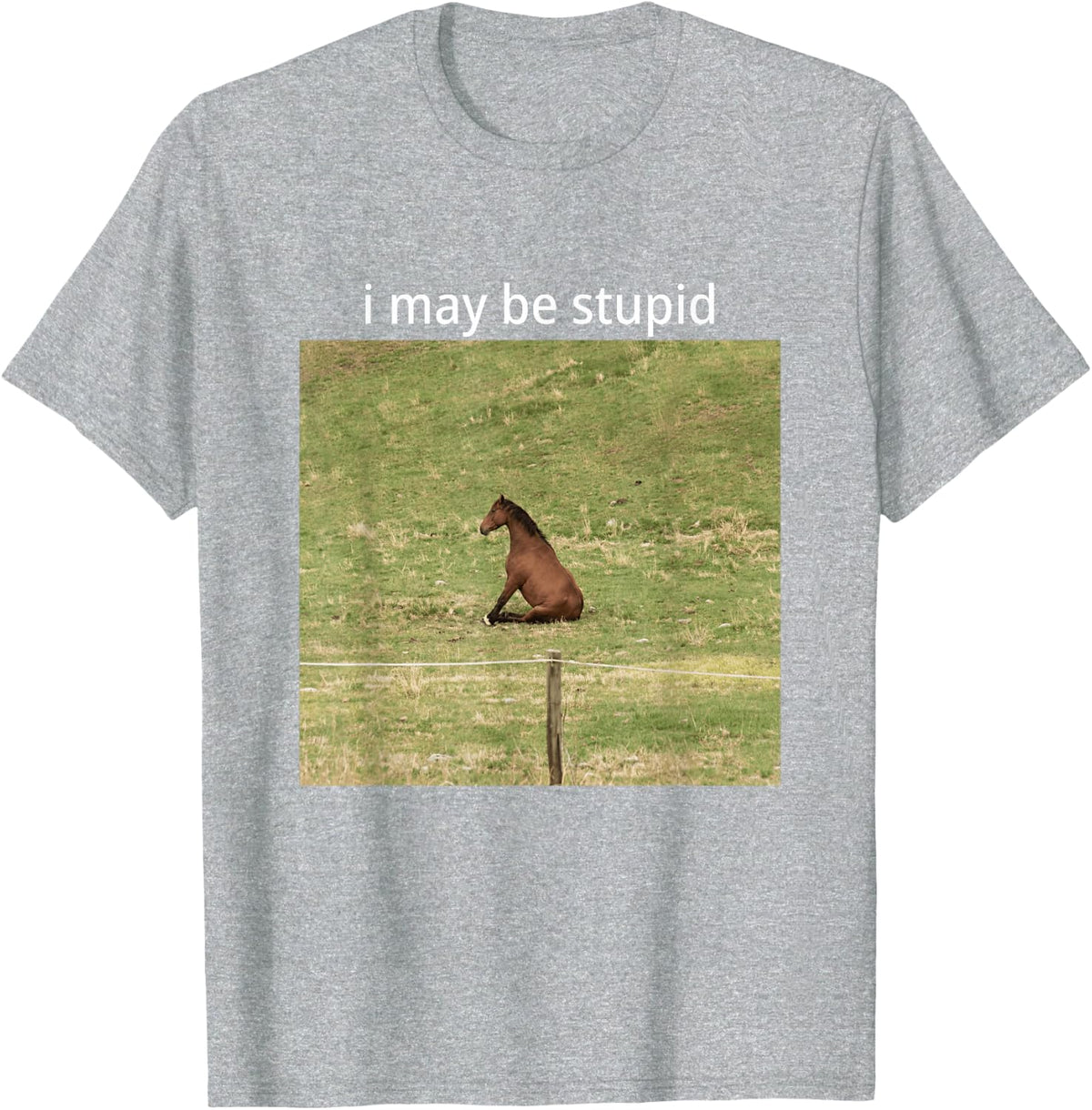 I May Be Stupid Sitting Horse Meme Funny Life Dark Humor T-Shirt - Heather Grey