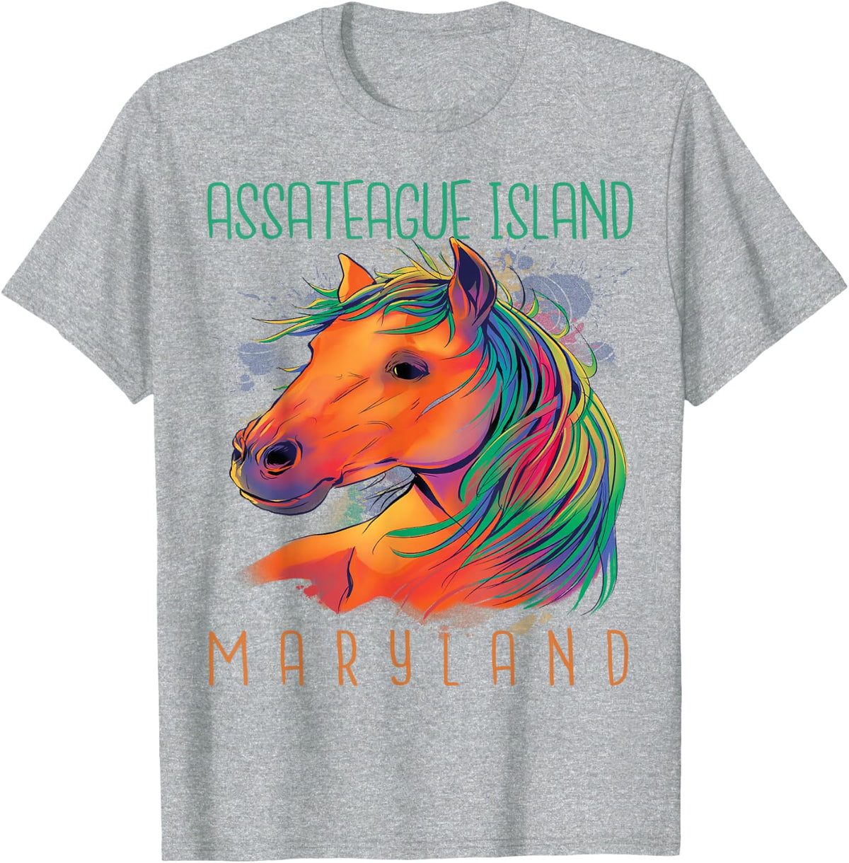Colorful Horse Assateague Island Maryland Riding Souvenir T-Shirt Tee - Heather Grey
